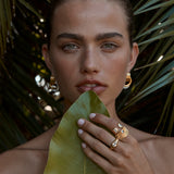 Birch Ring
