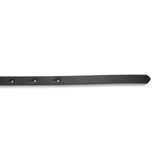 Hammada Belt