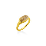 Darwin Ring