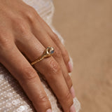 Darwin Ring